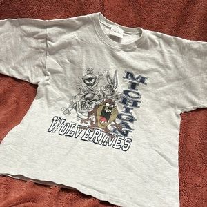 Vintage 1993 Michigan Wolverines Thick Vintage Tee - RARE